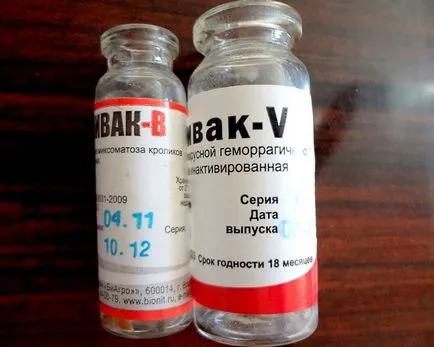 Вакцина раббівак v для кроликів інструкція, поради, огляд (кроликів) Вакцина раббівак v для кроликів інструкція, поради, огляд
