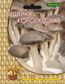 глива королівська