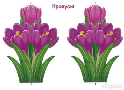 Весняні квіти з паперу своїми руками для дітей 5-6-7-8 років (паперу) Весняні квіти з паперу своїми руками для дітей 5-6-7-8 років