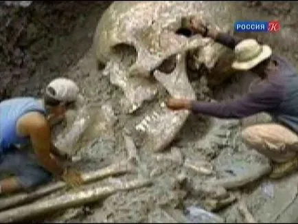 Велетні картинки, фото, опис персонажів (велетні) Велетні картинки, фото, опис персонажів