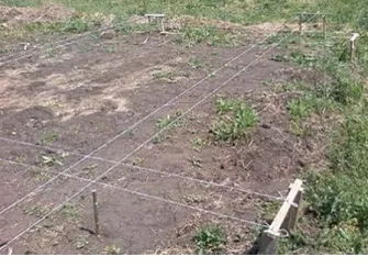 Фундамент під зруб типи, поетапне зведення (фундамент) Фундамент під зруб типи, поетапне зведення