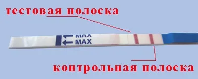 Фотографії тестів на вагітність frautest з двома смужками - на (с) Фотографії тестів на вагітність frautest з двома смужками - на
