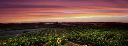 Габріель Руїс лопес про іспанії, китаї іУкаіни - wine magazine (іспанії) Габріель Руїс лопес про іспанії, китаї іУкаіни - wine magazine