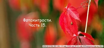 Фотохітрості для nikon