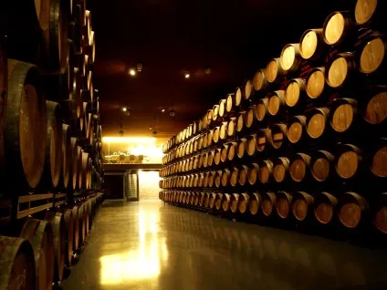 Габріель Руїс лопес про іспанії, китаї іУкаіни - wine magazine (Руїс) Габріель Руїс лопес про іспанії, китаї іУкаіни - wine magazine