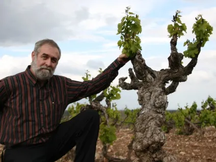 Габріель Руїс лопес про іспанії, китаї іУкаіни - wine magazine (Руїс) Габріель Руїс лопес про іспанії, китаї іУкаіни - wine magazine