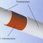 Вирощування їли з семянхвойние (вирощування) Вирощування їли з семянхвойние