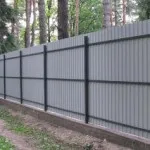 Вирощування їли з семянхвойние (вирощування) Вирощування їли з семянхвойние