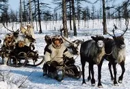 Вигідний курс обміну валюти (долар, євро) в банках москви на сьогодні (в банках москви) Вигідний курс обміну валюти (долар, євро) в банках москви на сьогодні