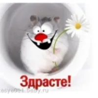 Вірусна алергія, мітки інфекція