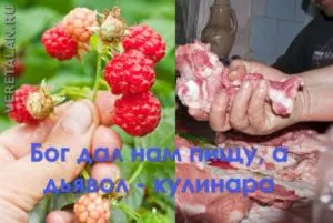 Видова їжа людини або чому всі діти люблять фрукти, природне здоров'я (люблять) Видова їжа людини або чому всі діти люблять фрукти, природне здоров'я