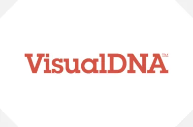 Visualdna - таргетинг користувачів сайтів і оцінка їх кредитоспроможності (visualdna) Visualdna - таргетинг користувачів сайтів і оцінка їх кредитоспроможності
