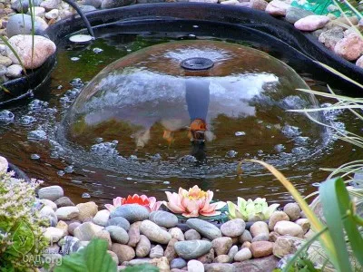 Види систем фільтрації для штучних водойм, біля будинку