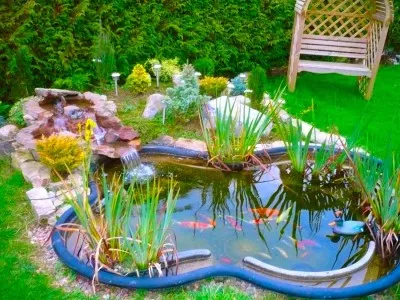 Види систем фільтрації для штучних водойм, біля будинку