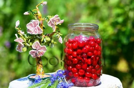 Вишня консервована - покроковий рецепт з фото, консервування (консервування) Вишня консервована - покроковий рецепт з фото, консервування