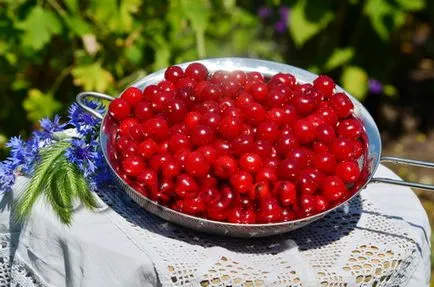 Вишня консервована - покроковий рецепт з фото, консервування (вишня) Вишня консервована - покроковий рецепт з фото, консервування