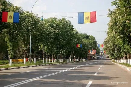 Вирощування смачного їстівного каштана на своїй ділянці (Посадка каштана насінням) Вирощування смачного їстівного каштана на своїй ділянці