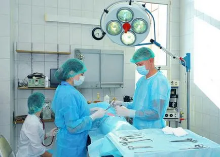 Види хірургічних операцій для домашніх тварин (цьому випадку ветеринар) Види хірургічних операцій для домашніх тварин
