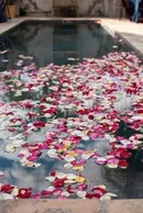 Водні процедури весілля біля басейну