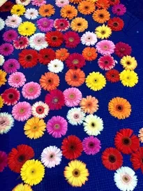 Водні процедури весілля біля басейну