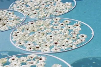 Водні процедури весілля біля басейну