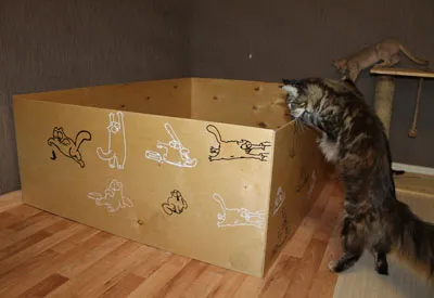 Вольєр для кішки і кошенят