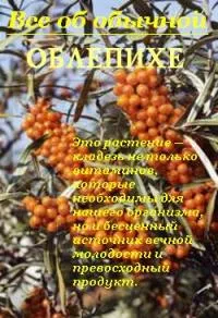Все про звичайні огірках Новомосковскть онлайн (кулінарія) Все про звичайні огірках Новомосковскть онлайн