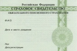Всі питання про те, як отримати страхове пенсійне свідоцтво (отримати) Всі питання про те, як отримати страхове пенсійне свідоцтво