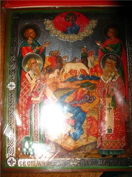 Все про обереги для собак
