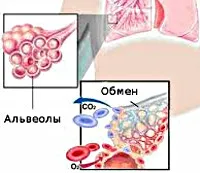 Хронічна дихальна недостатність - причини, симптоми, діагностика та лікування