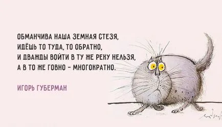 Хльосткі «гаріки» Ігоря Губермана