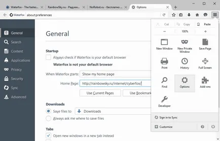 Waterfox 55