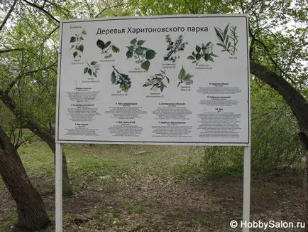 Харітоновскій парк - один з найбільших парків Запорожьеа (парк) Харітоновскій парк - один з найбільших парків Запорожьеа