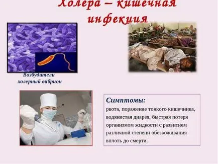 Холера симптоми, причини, епідемії холери, методи лікування та профілактики (причини) Холера симптоми, причини, епідемії холери, методи лікування та профілактики