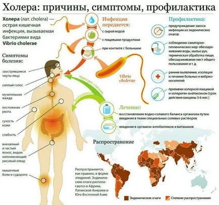 Холера симптоми, причини, епідемії холери, методи лікування та профілактики (методи) Холера симптоми, причини, епідемії холери, методи лікування та профілактики