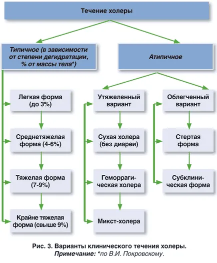 Холера симптоми, причини, епідемії холери, методи лікування та профілактики (причини) Холера симптоми, причини, епідемії холери, методи лікування та профілактики