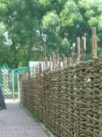 Огорожа з необрізної дошки (необрізний) Огорожа з необрізної дошки