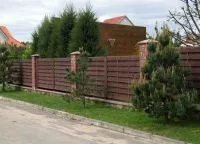 Огорожа з необрізної дошки (паркан необрізної дошки) Огорожа з необрізної дошки