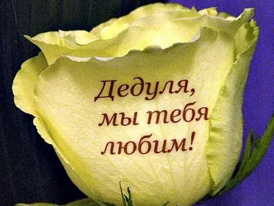 Мова квітів в наклейках говорять квіти на фото і наклейки на квіти