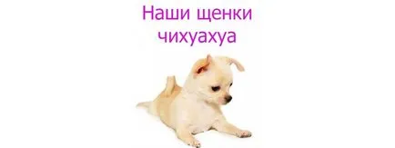 Навіщо потрібні клітини для кішок (кішок) Навіщо потрібні клітини для кішок