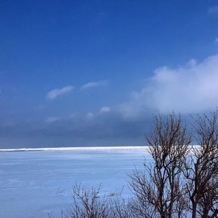 Південно-сахалинск в березні кілька днів на острові схильні, obusha (кілька) Південно-сахалинск в березні кілька днів на острові схильні, obusha