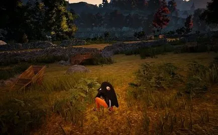 Заробляємо на зборі в black desert