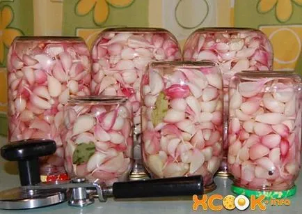Заготівля часнику на зиму - рецепт, як маринувати (заготівля часнику на зиму) Заготівля часнику на зиму - рецепт, як маринувати