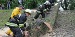 Жертви і руйнування після урагану в москві що відомо на даний момент (урагану) Жертви і руйнування після урагану в москві що відомо на даний момент