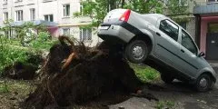 Жертви і руйнування після урагану в москві що відомо на даний момент (момент) Жертви і руйнування після урагану в москві що відомо на даний момент