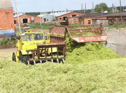 Зерносенаж- це шлях підвищення продуктивності та здоров'я тварин (підвищення) Зерносенаж- це шлях підвищення продуктивності та здоров'я тварин