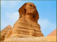 Знайомимося домашні щури (щури домашні) Знайомимося домашні щури