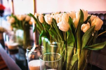 Зимове весілля максима і Наді в стилі рок-н-рол (весілля в стилі рок-н-рол) Зимове весілля максима і Наді в стилі рок-н-рол