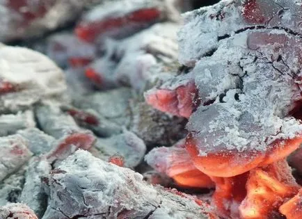 Зола як добриво для кімнатних рослин і її особливості (кімнатних) Зола як добриво для кімнатних рослин і її особливості