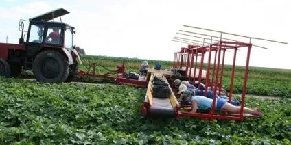 20 Божевільних винаходів людства - журнал «великий» (винахідники) 20 Божевільних винаходів людства - журнал «великий»